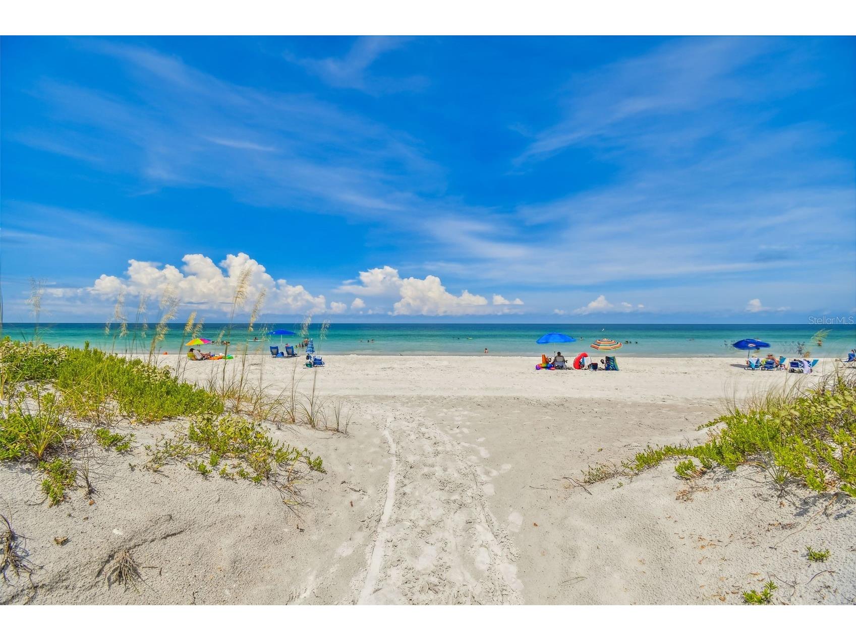 12701 126th Avenue #63 Largo FL 33774 TB8510131 image59
