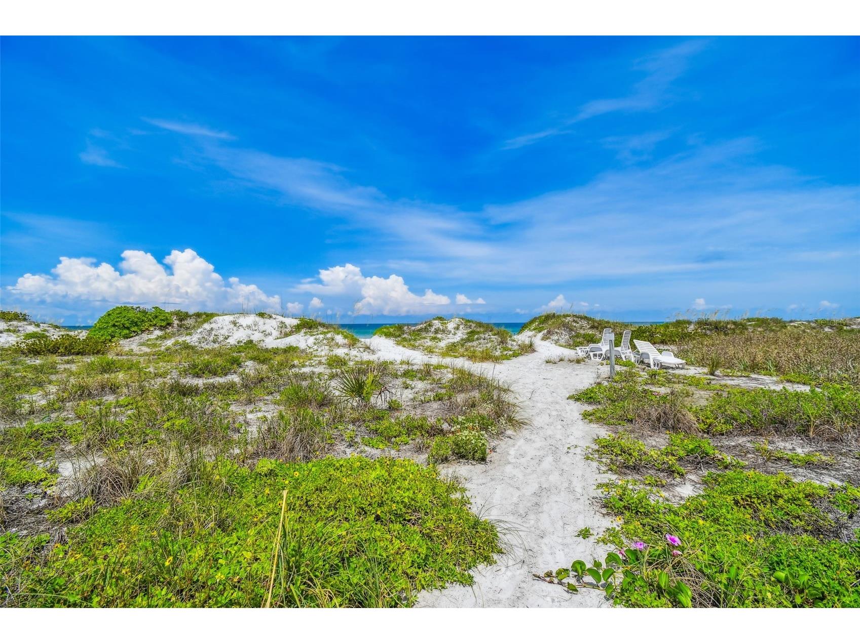 12701 126th Avenue #63 Largo FL 33774 TB8510131 image60