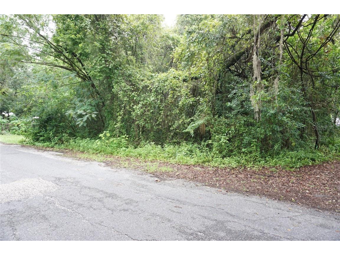 12701 NW 38th Avenue Reddick FL 32686 OM707688 image15