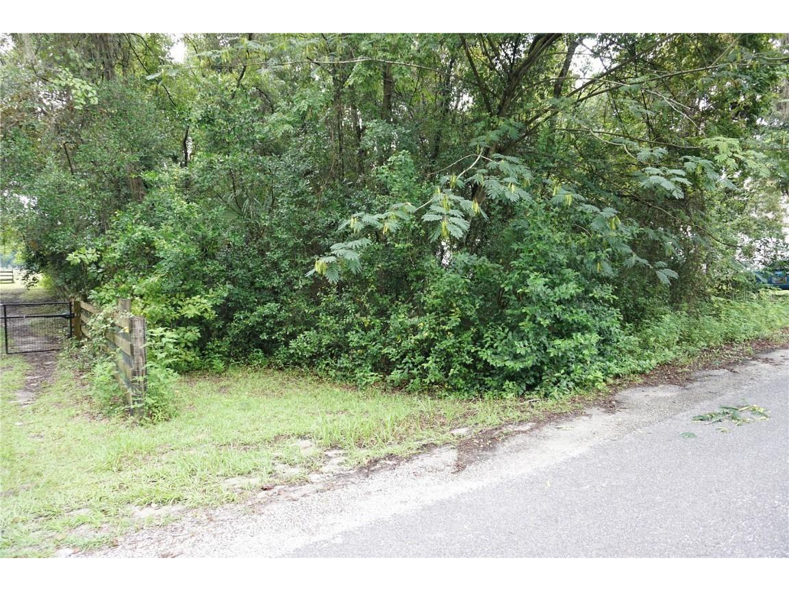 12701 NW 38th Avenue Reddick FL 32686 OM707688 image16