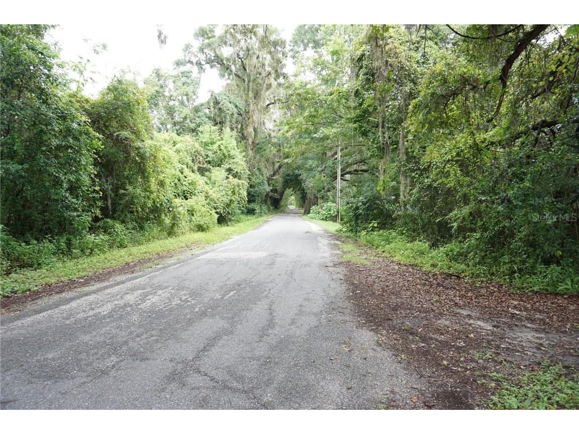 12701 NW 38th Avenue Reddick FL 32686 OM707688 image17