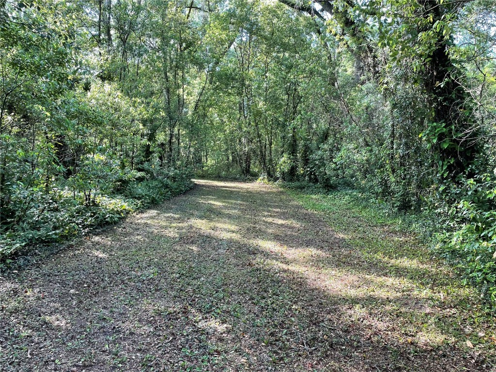 12701 SE Highway 42 Weirsdale FL 32195 OM689273 image1