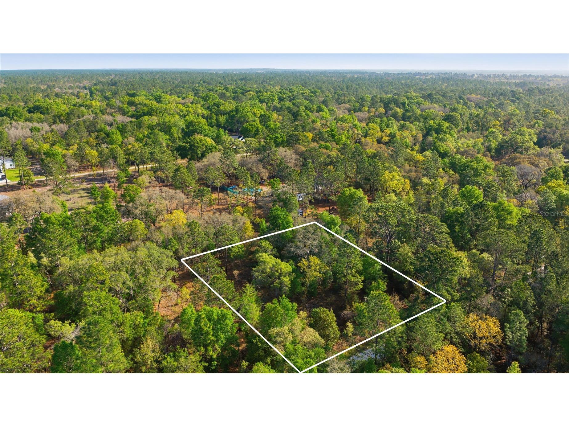 12701 SW 96th Lane Dunnellon FL 34432 OM722028 image1