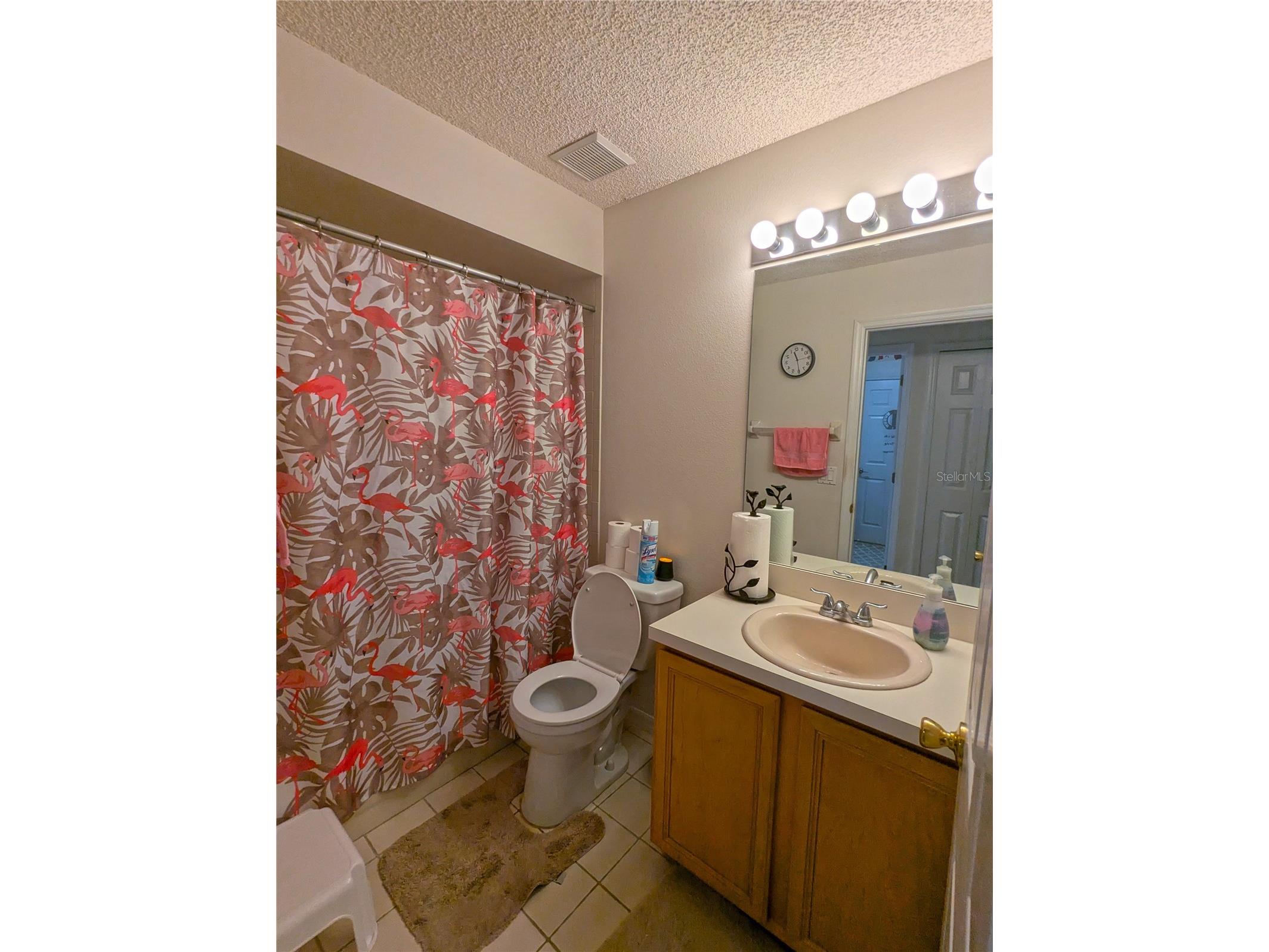 12702 Enclave Drive Orlando FL 32837 O6384137 image13