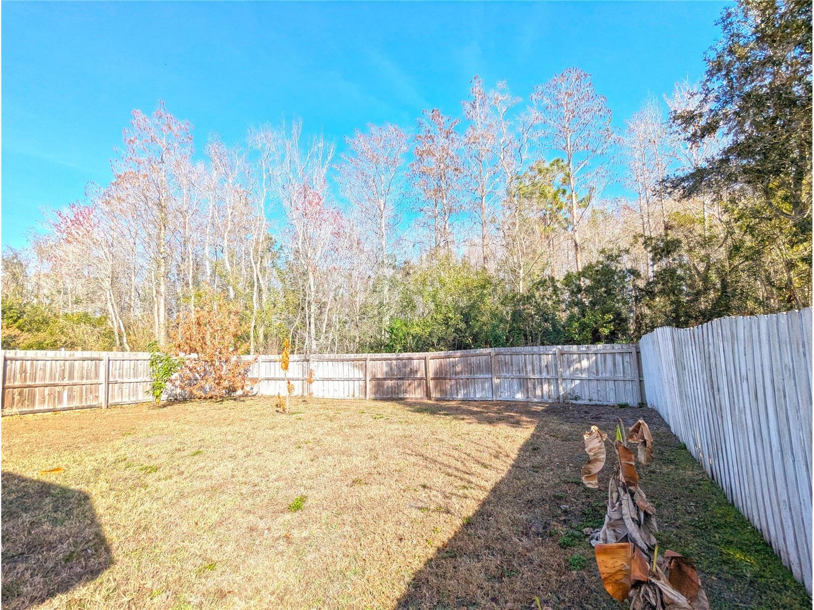 12702 Enclave Drive Orlando FL 32837 O6384137 image26