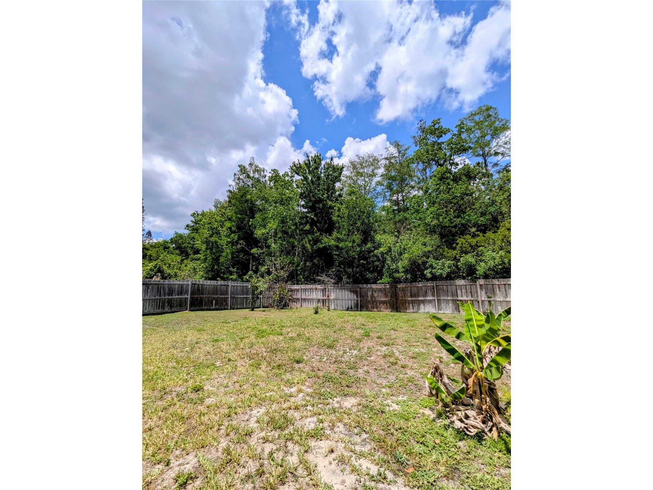 12702 Enclave Drive Orlando FL 32837 O6384137 image32