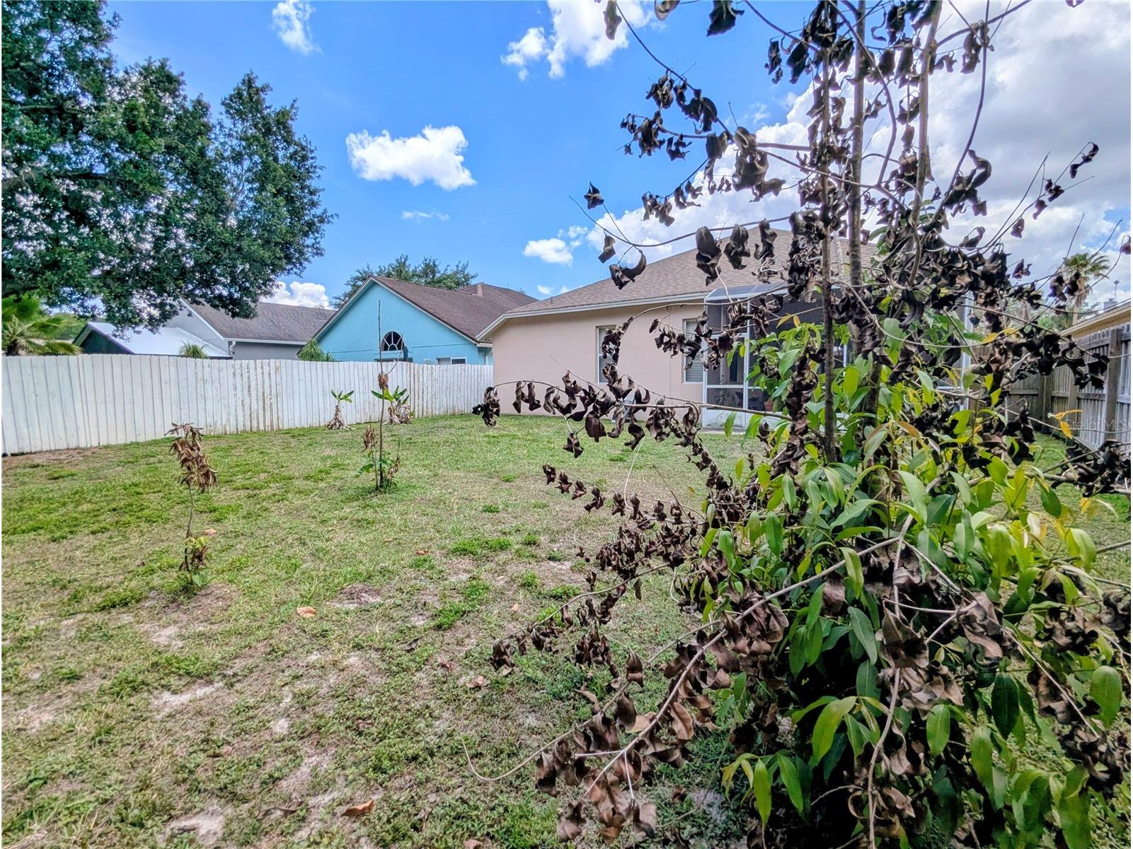 12702 Enclave Drive Orlando FL 32837 O6384137 image36