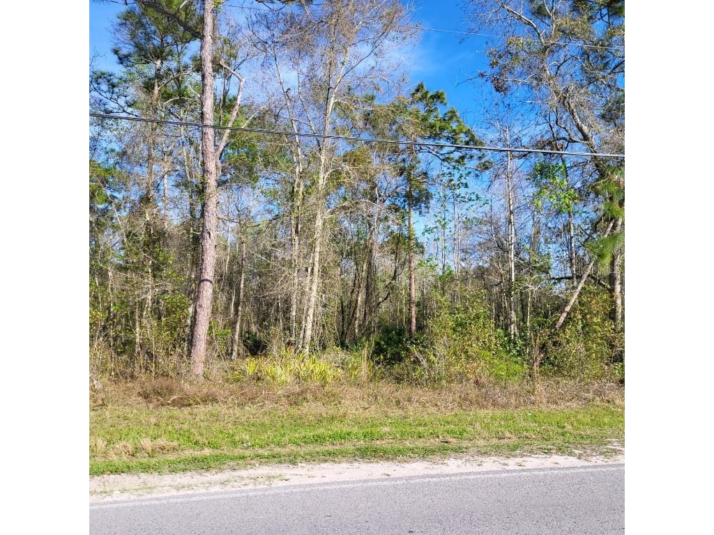 12702 Morton Street New Port Richey FL 34654 W7852807 image1