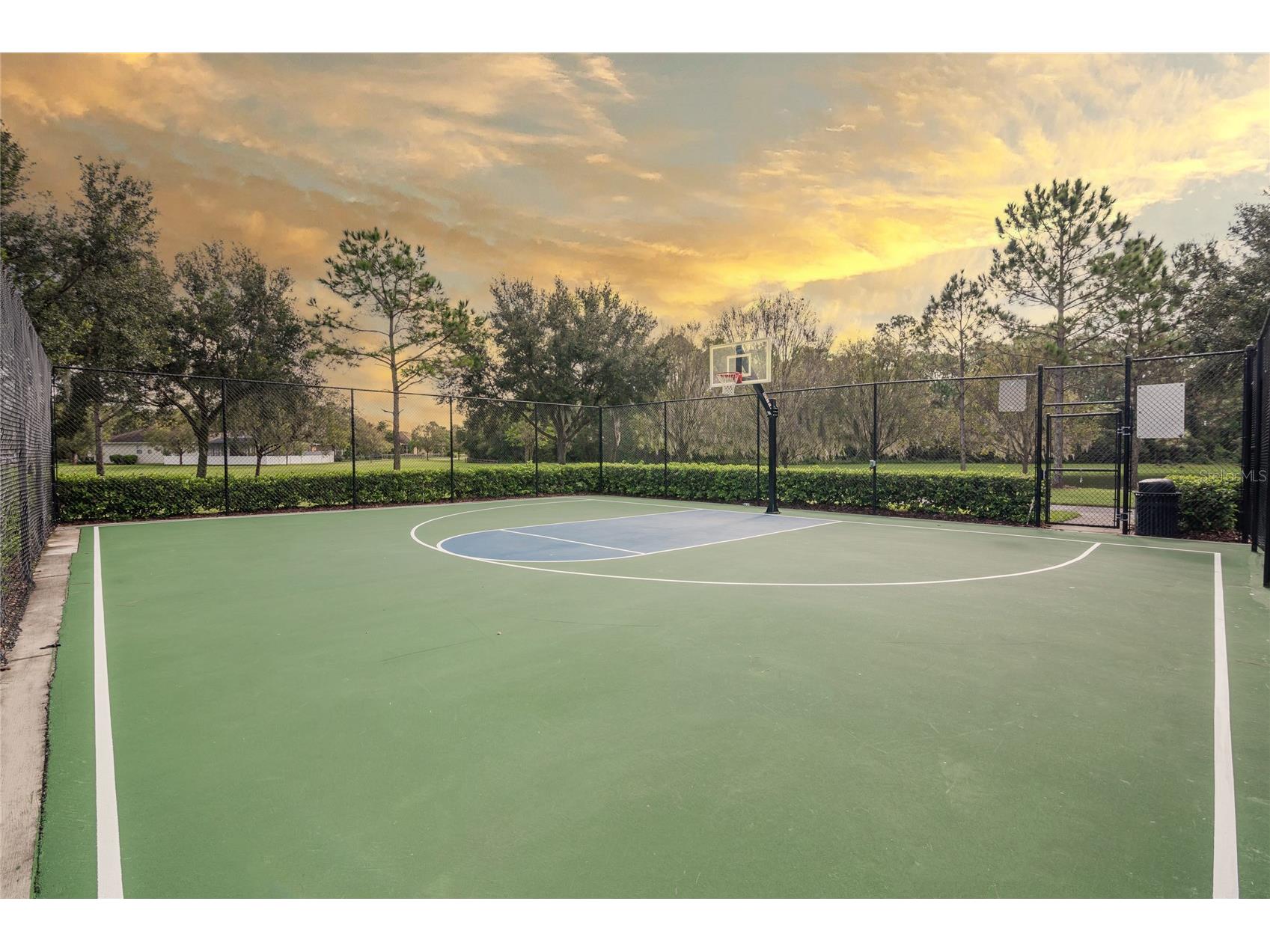 12702 Salomon Cove Drive Windermere FL 34786 O6408108 image42