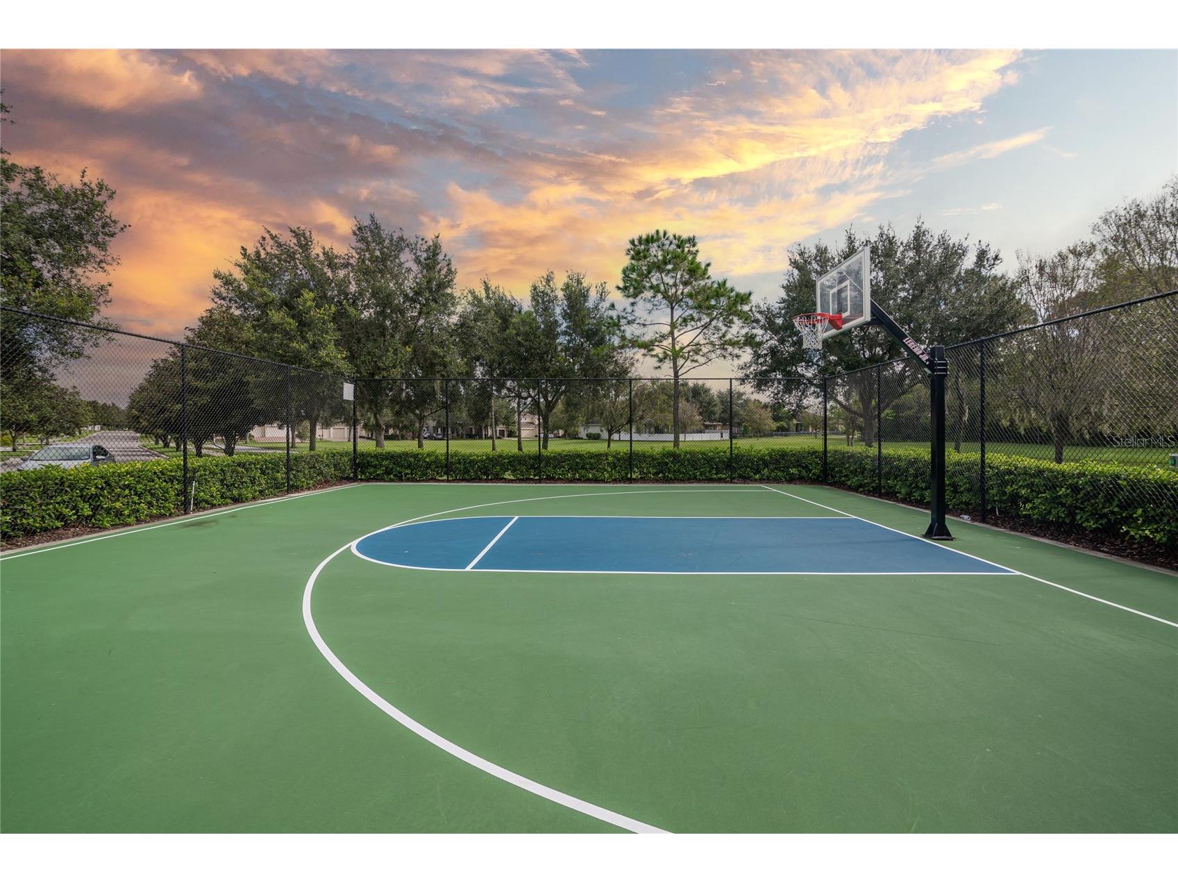 12702 Salomon Cove Drive Windermere FL 34786 O6408108 image43