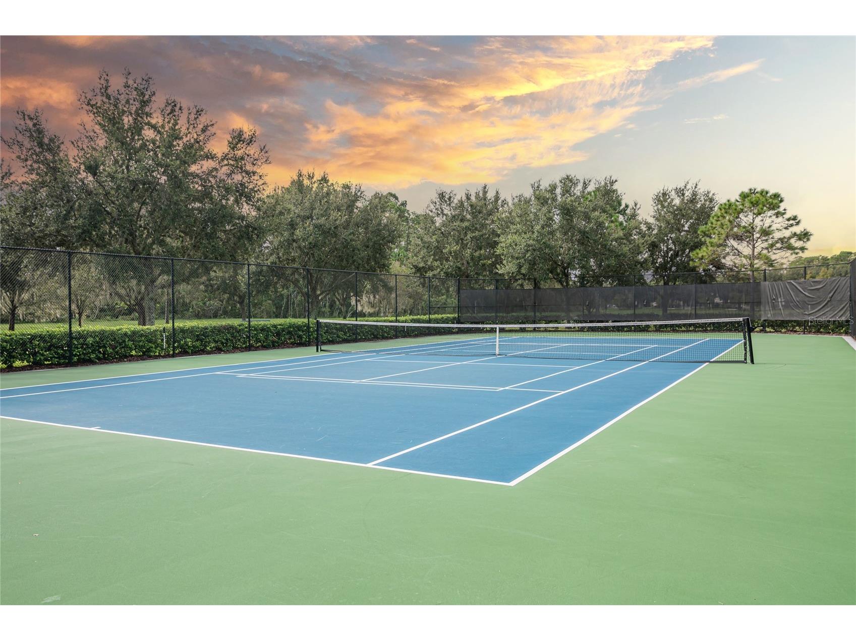 12702 Salomon Cove Drive Windermere FL 34786 O6408108 image44