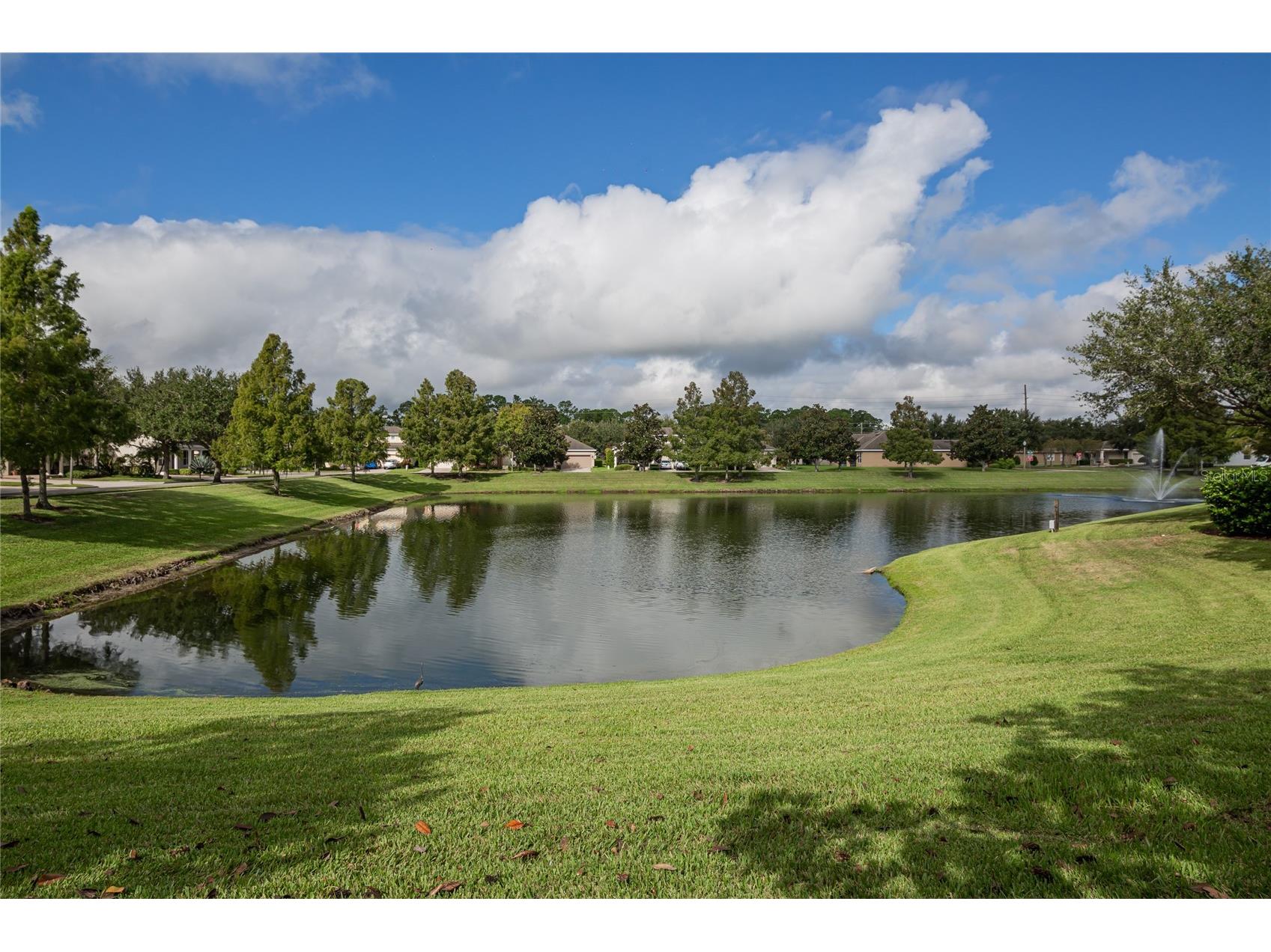 12702 Salomon Cove Drive Windermere FL 34786 O6408108 image45
