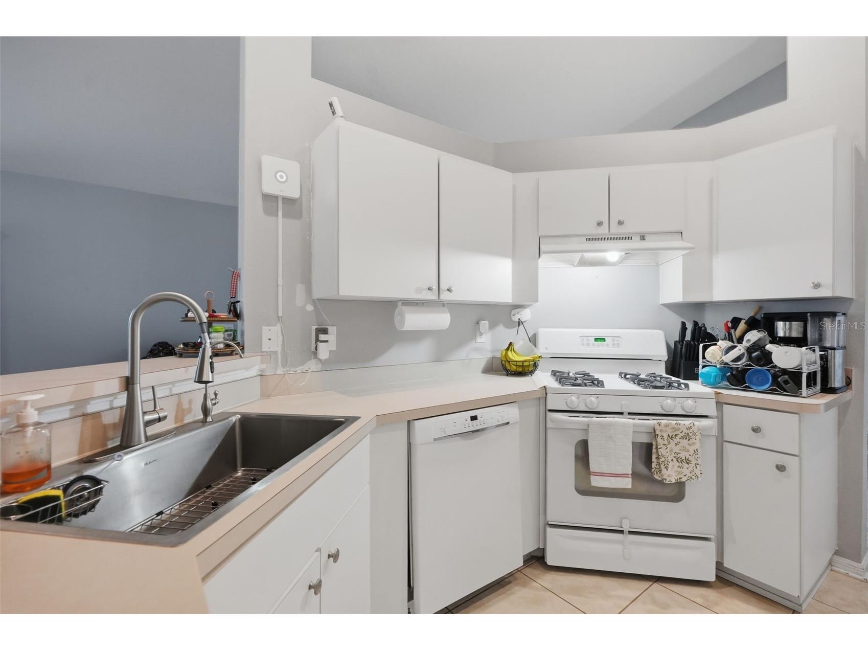 12703 Bramfield Drive Riverview FL 33579 TB8525988 image14