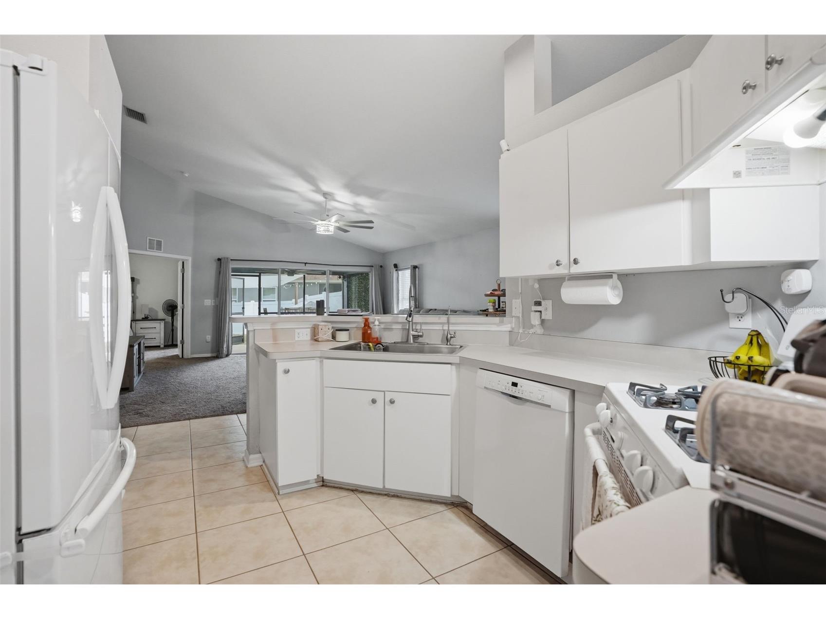 12703 Bramfield Drive Riverview FL 33579 TB8525988 image15