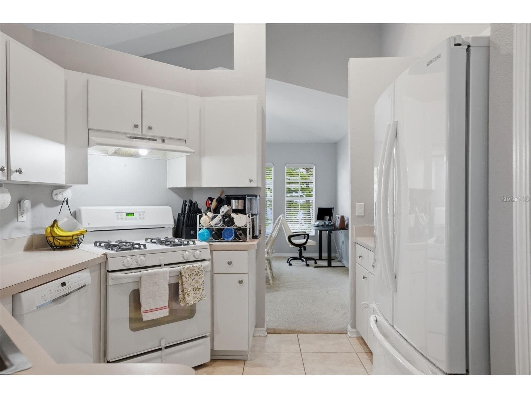 12703 Bramfield Drive Riverview FL 33579 TB8525988 image16