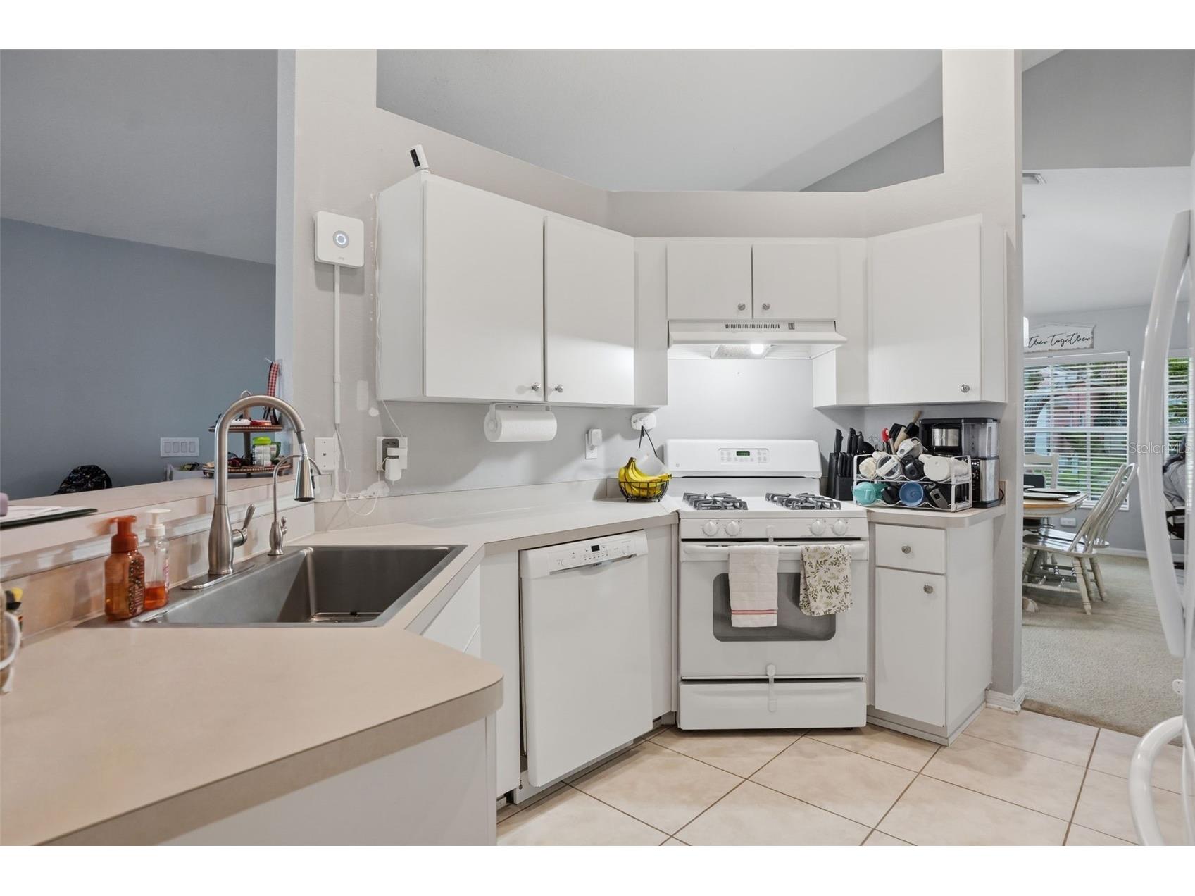 12703 Bramfield Drive Riverview FL 33579 TB8525988 image17