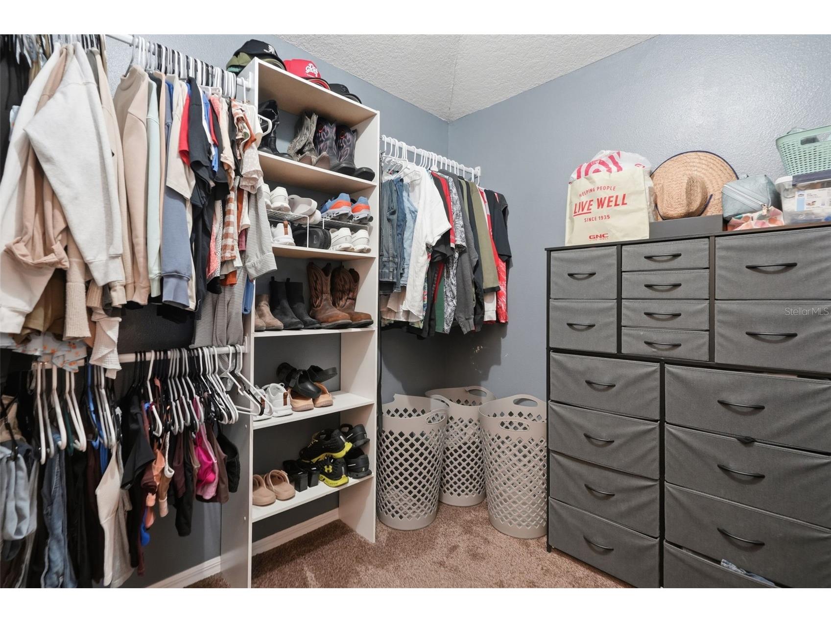 12703 Bramfield Drive Riverview FL 33579 TB8525988 image22
