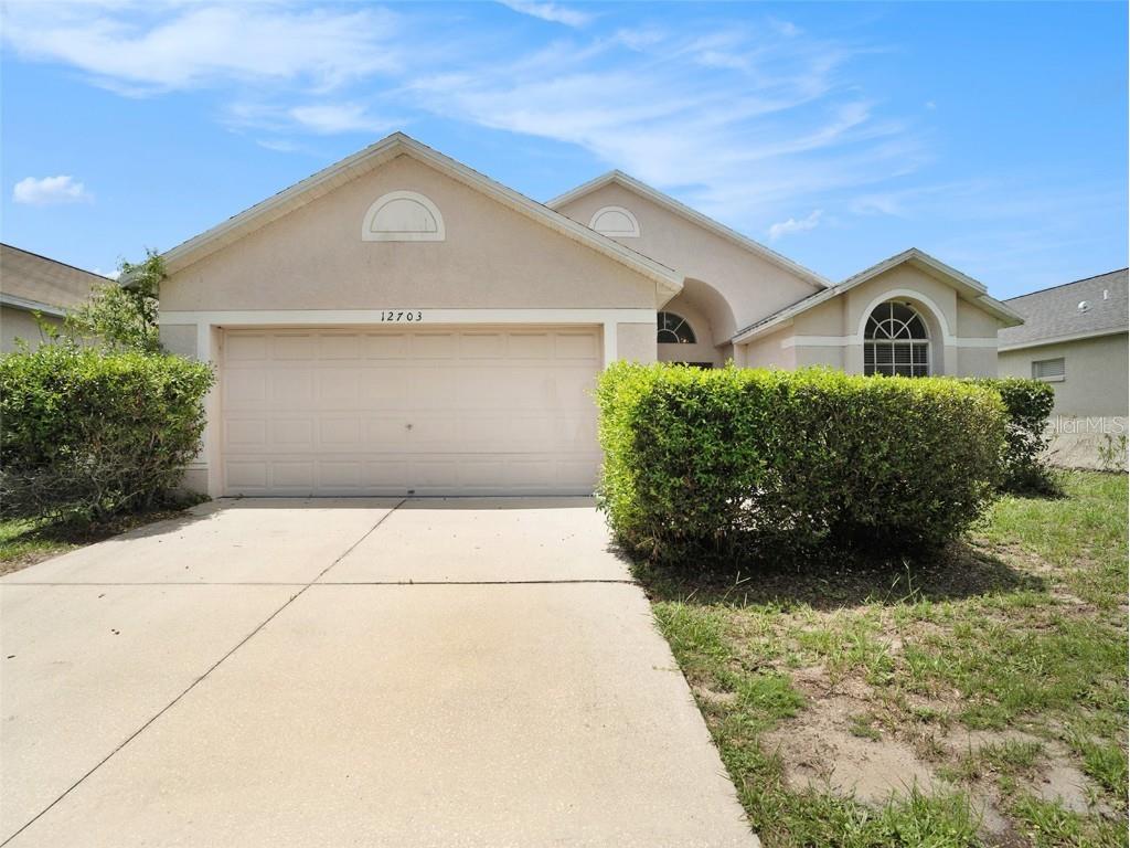 12703 Kings Lake Drive Gibsonton FL 33534 T3535165 image1