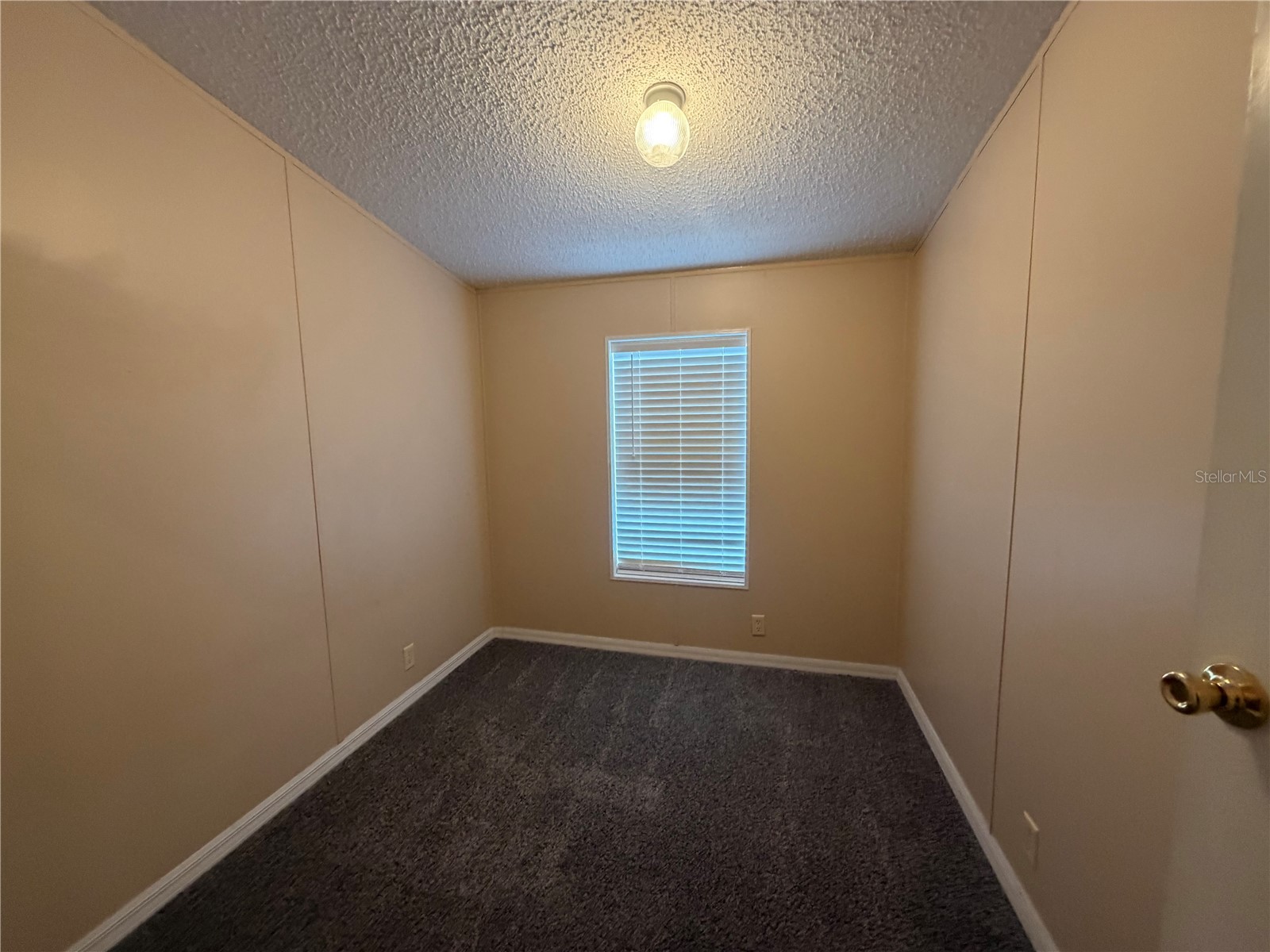 12703 Lovers Lane Riverview FL 33579 L4961457 image12