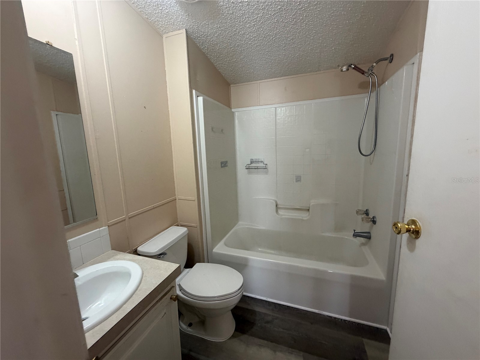 12703 Lovers Lane Riverview FL 33579 L4961457 image13