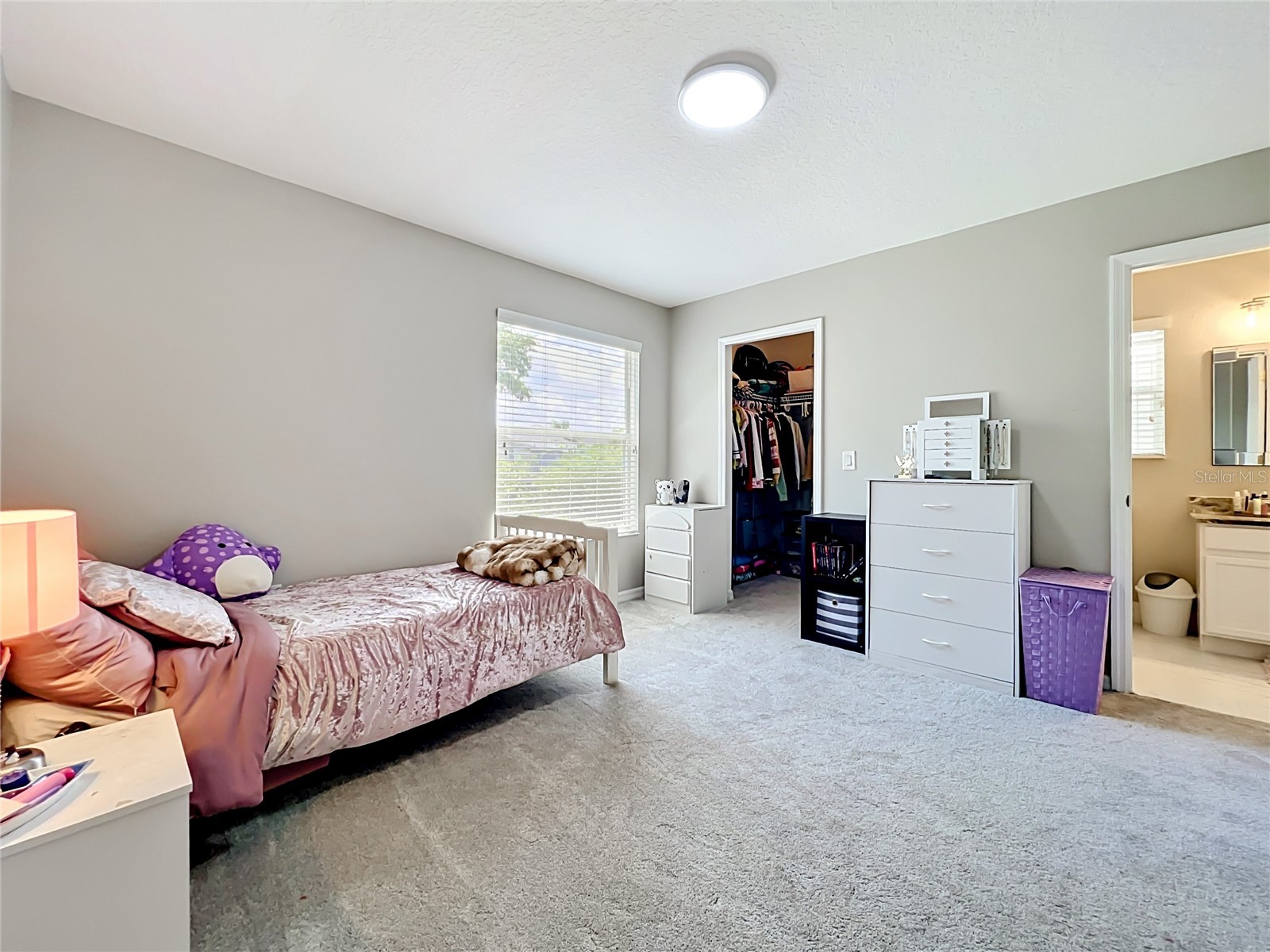 12703 Moss Park Ridge Drive Orlando FL 32832 S5148941 image53