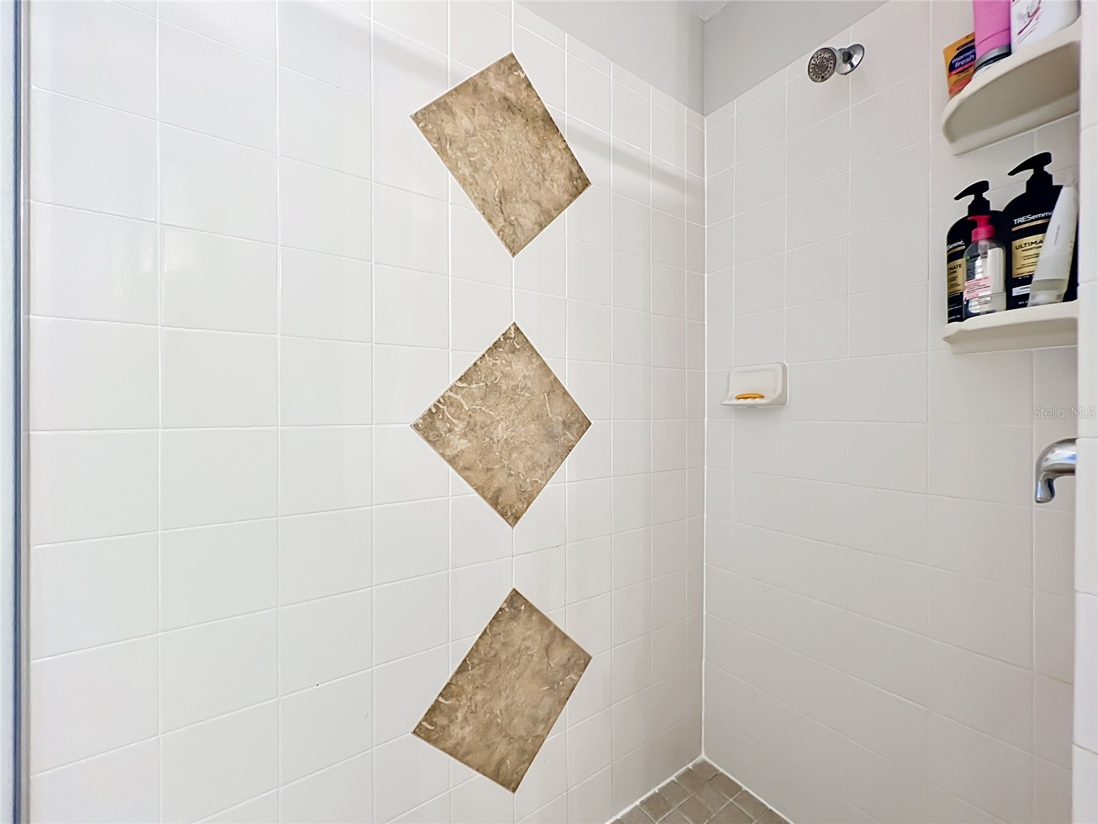 12703 Moss Park Ridge Drive Orlando FL 32832 S5148941 image71