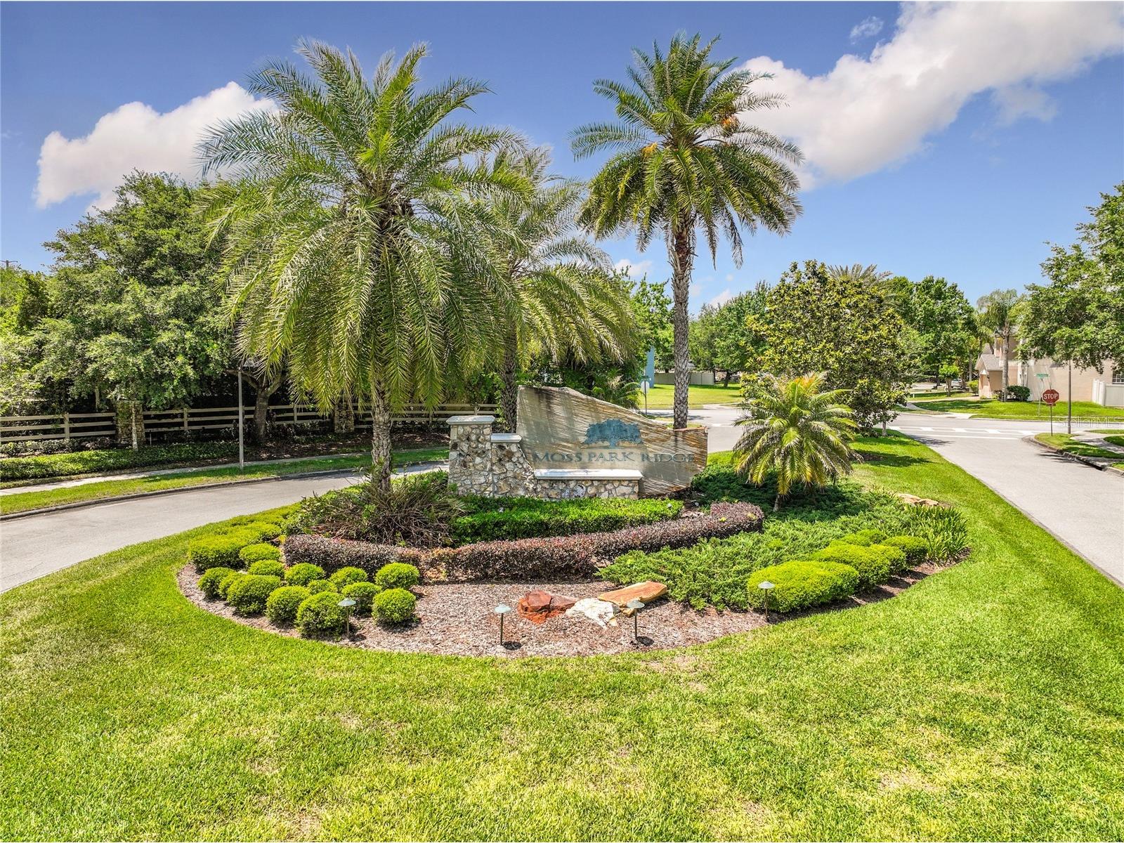 12703 Moss Park Ridge Drive Orlando FL 32832 S5148941 image88