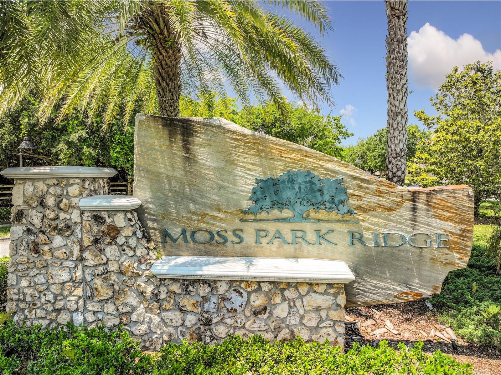 12703 Moss Park Ridge Drive Orlando FL 32832 S5148941 image97