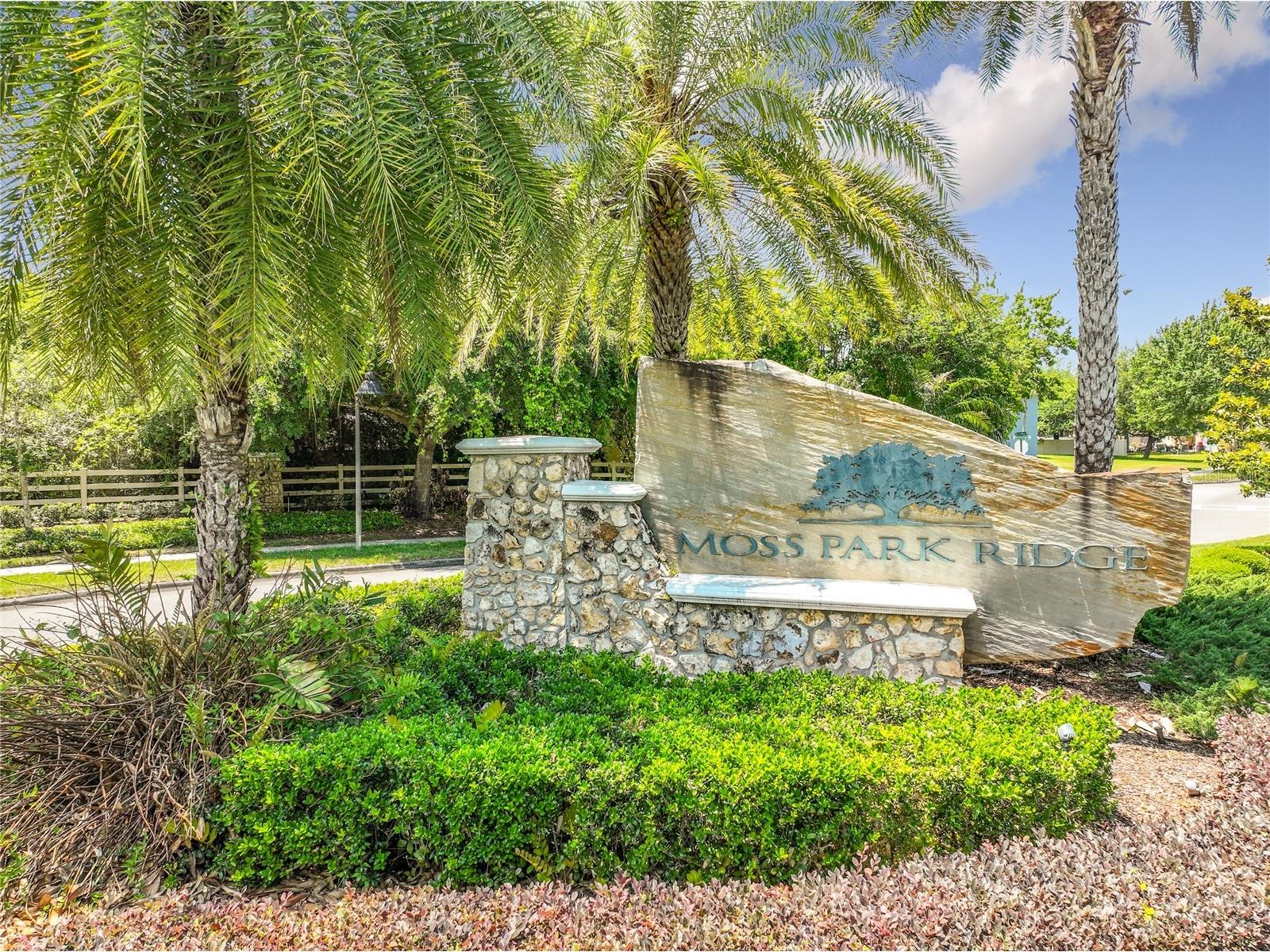 12703 Moss Park Ridge Drive Orlando FL 32832 S5148941 image98
