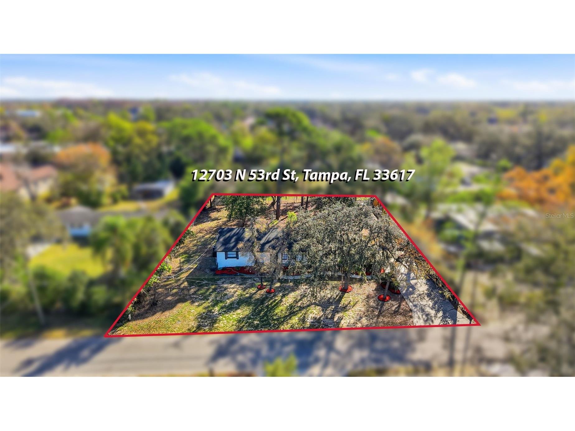 12703 N 53rd Street Temple Terrace FL 33617 TB8481866 image45