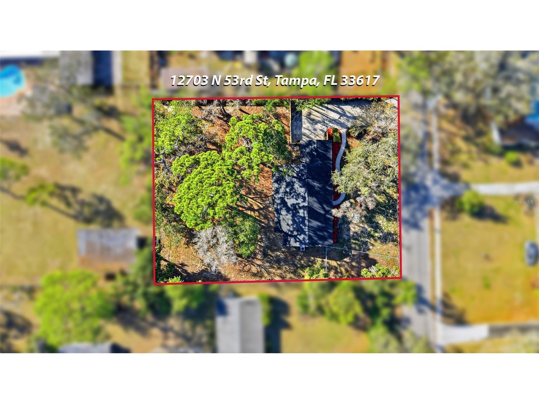 12703 N 53rd Street Temple Terrace FL 33617 TB8481866 image46