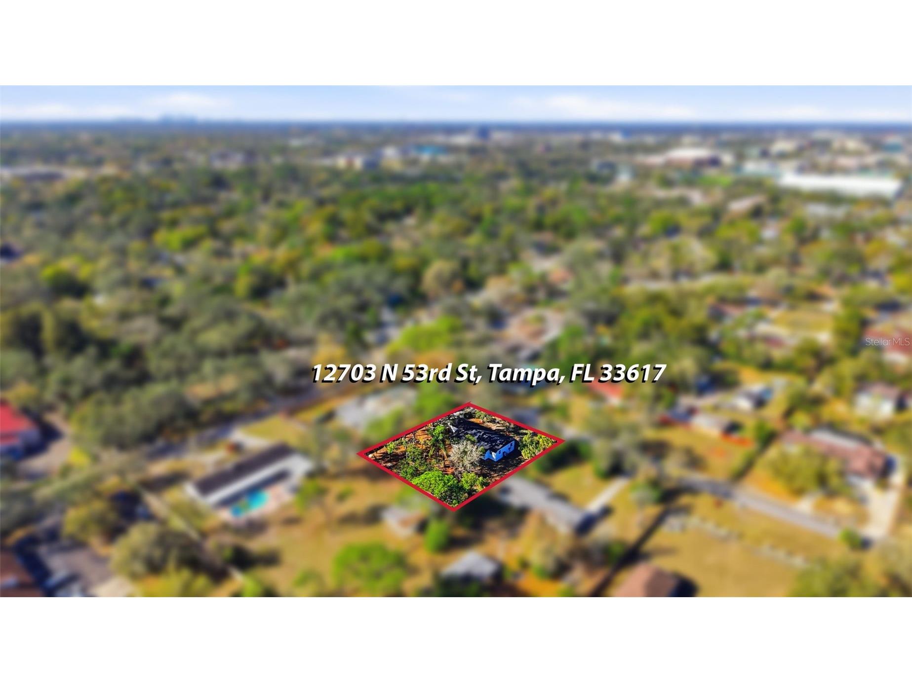 12703 N 53rd Street Temple Terrace FL 33617 TB8481866 image47