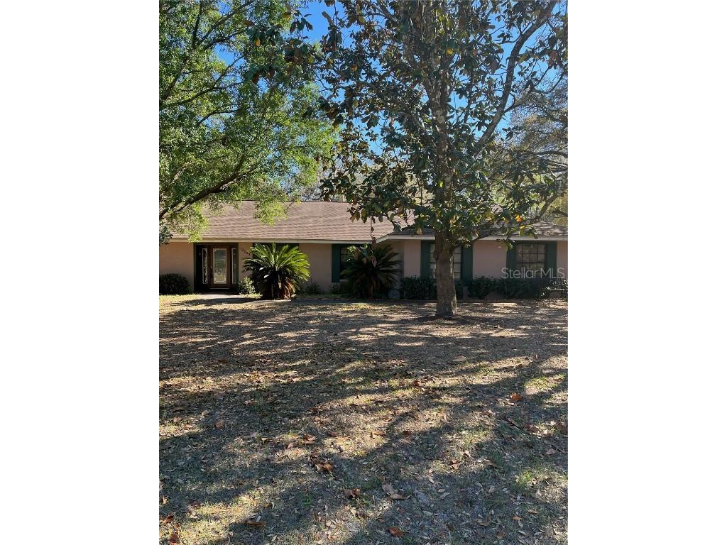 12703 Shadow Run Boulevard Riverview FL 33569 A4564672 image1