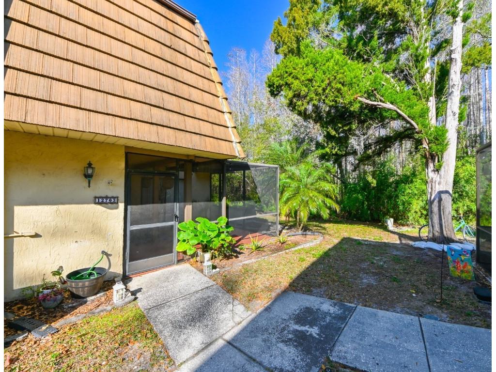 12703 Tall Pine Drive Tampa FL 33625 T3551867 image1