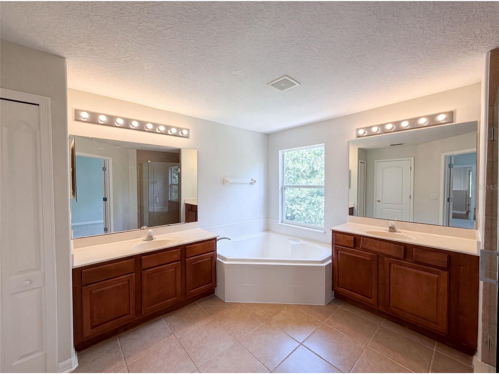 12706 Grovehurst Avenue Winter Garden FL 34787 O6424010 image7