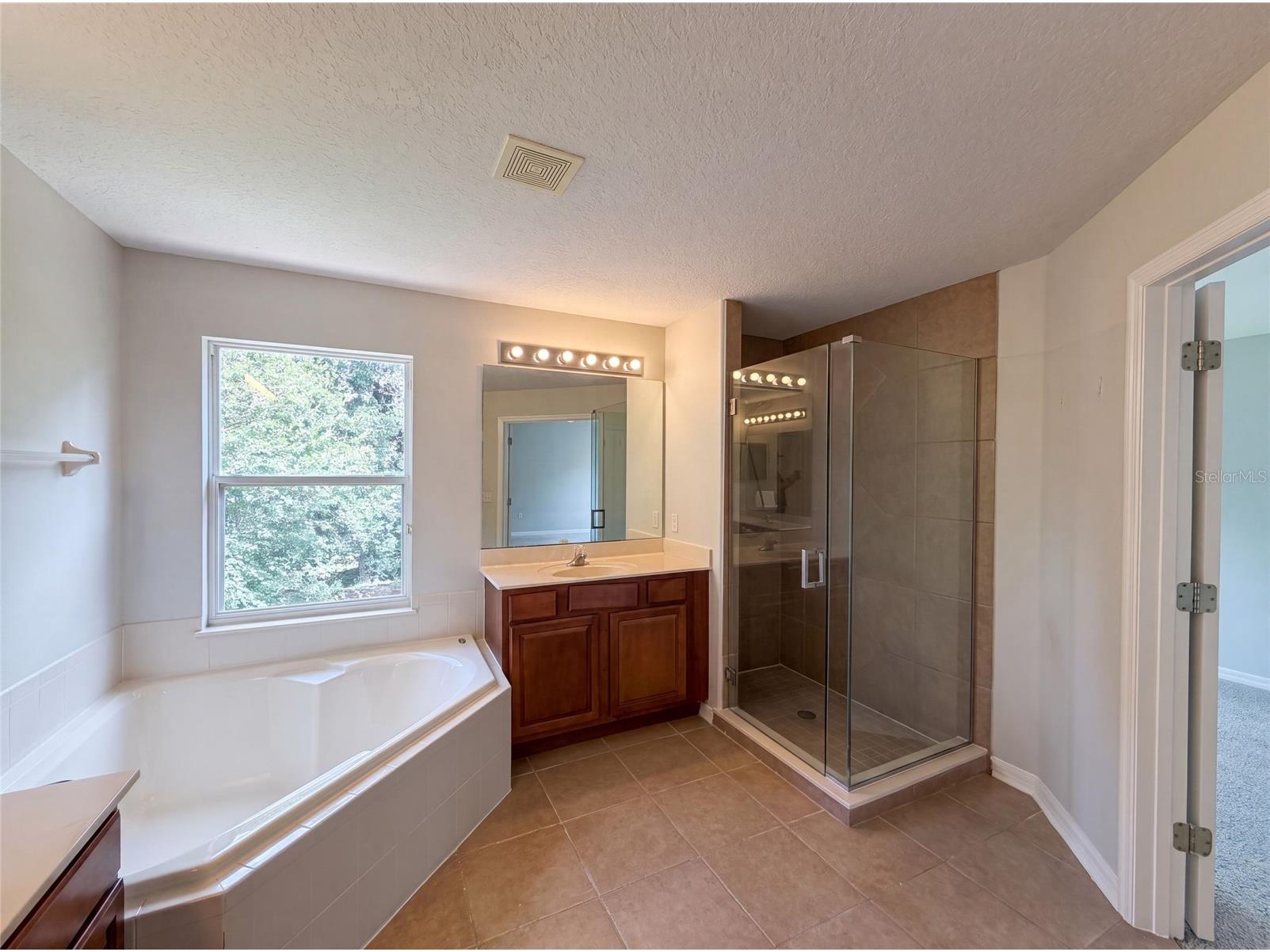 12706 Grovehurst Avenue Winter Garden FL 34787 O6424010 image8
