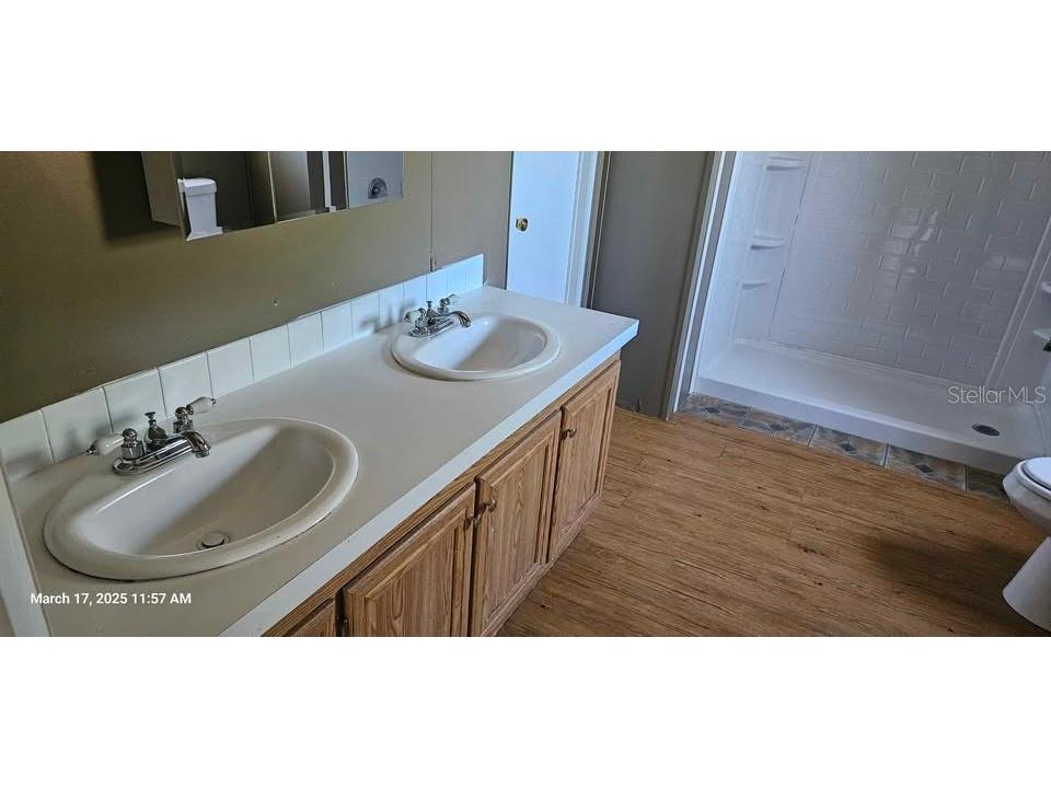 12706 Hawk Hill Drive Thonotosassa FL 33592 TB8482774 image10