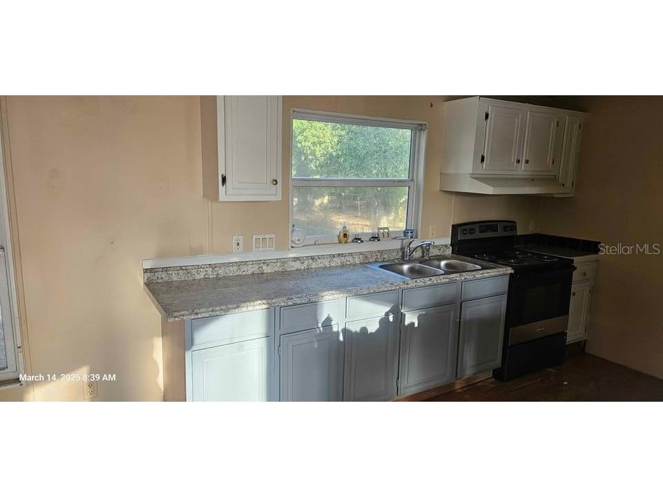 12706 Hawk Hill Drive Thonotosassa FL 33592 TB8482774 image5