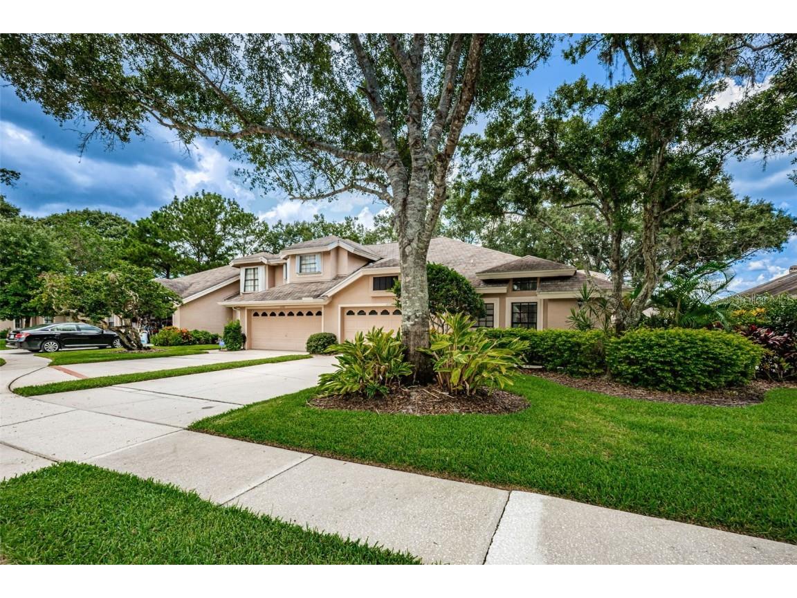 12707 Burmah Court Odessa FL 33556 U8209312 image1