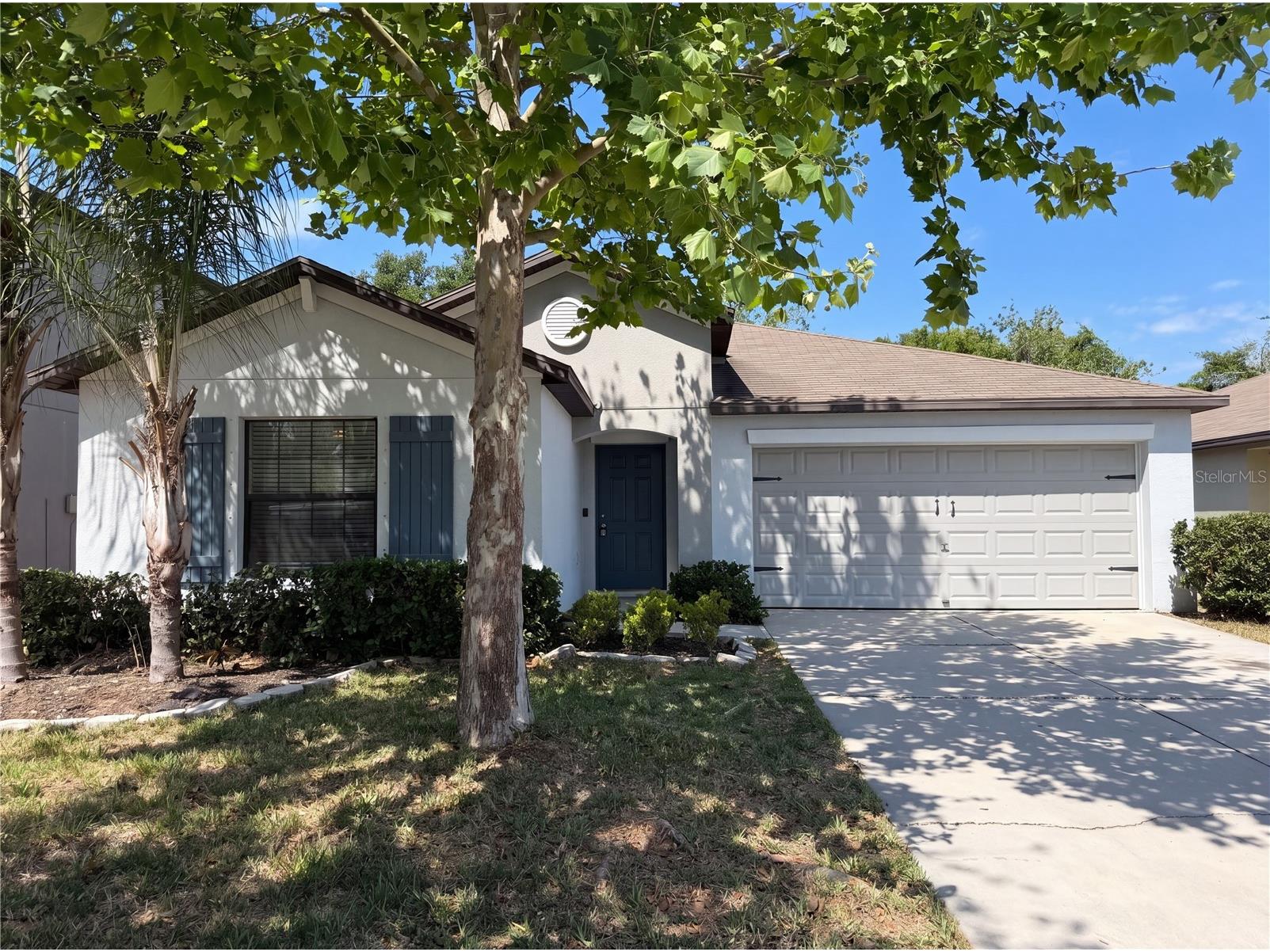 12707 Lemon Pepper Drive Riverview FL 33578 O6402263 image1