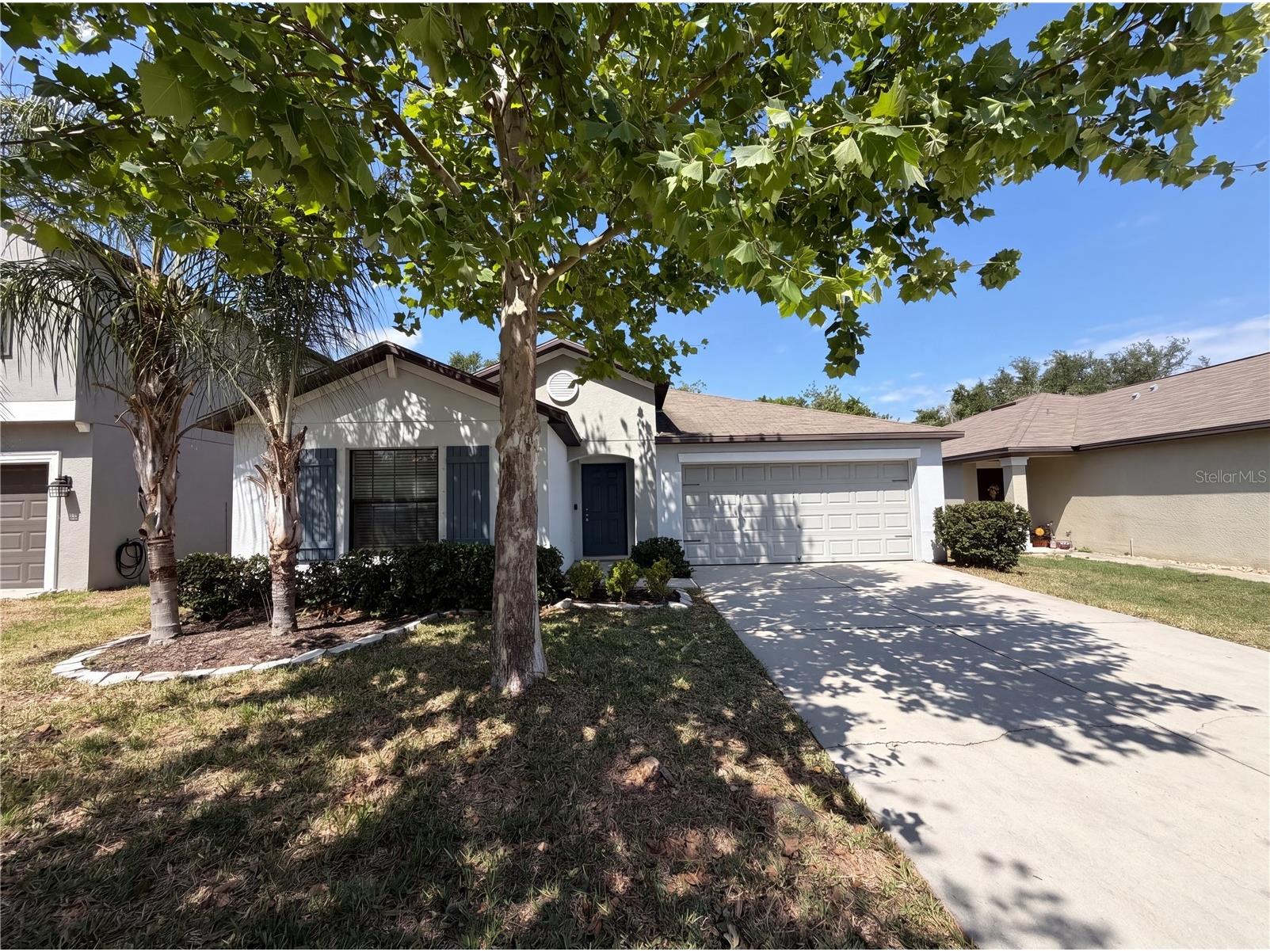 12707 Lemon Pepper Drive Riverview FL 33578 O6402263 image2