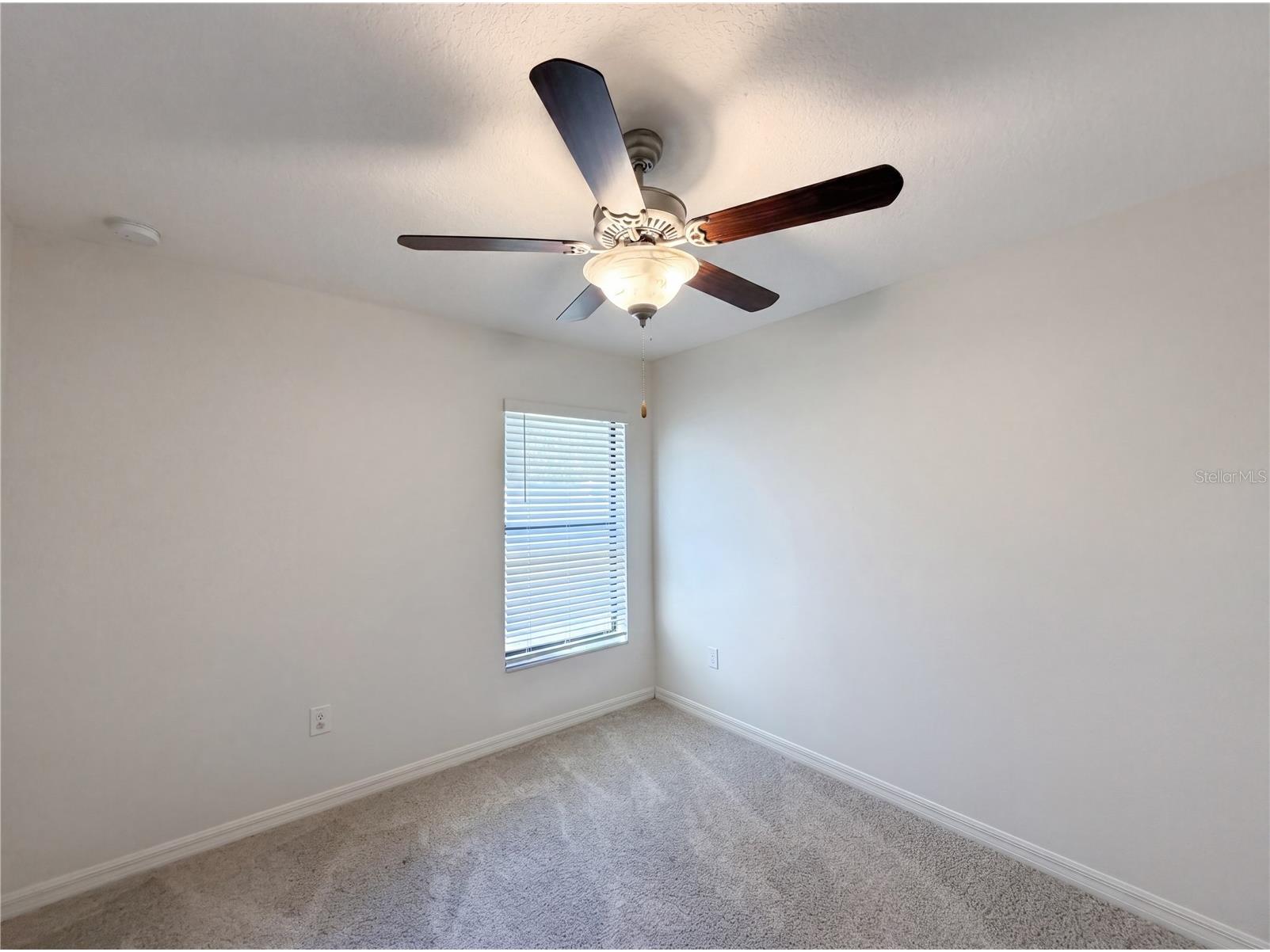 12707 Lemon Pepper Drive Riverview FL 33578 O6402263 image20