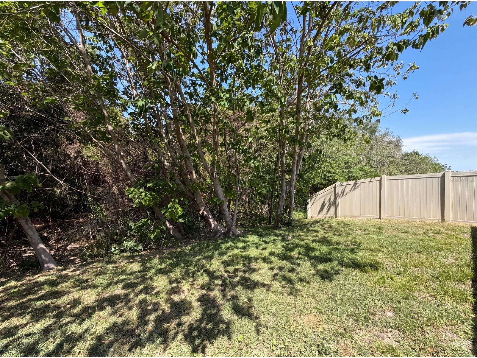 12707 Lemon Pepper Drive Riverview FL 33578 O6402263 image27