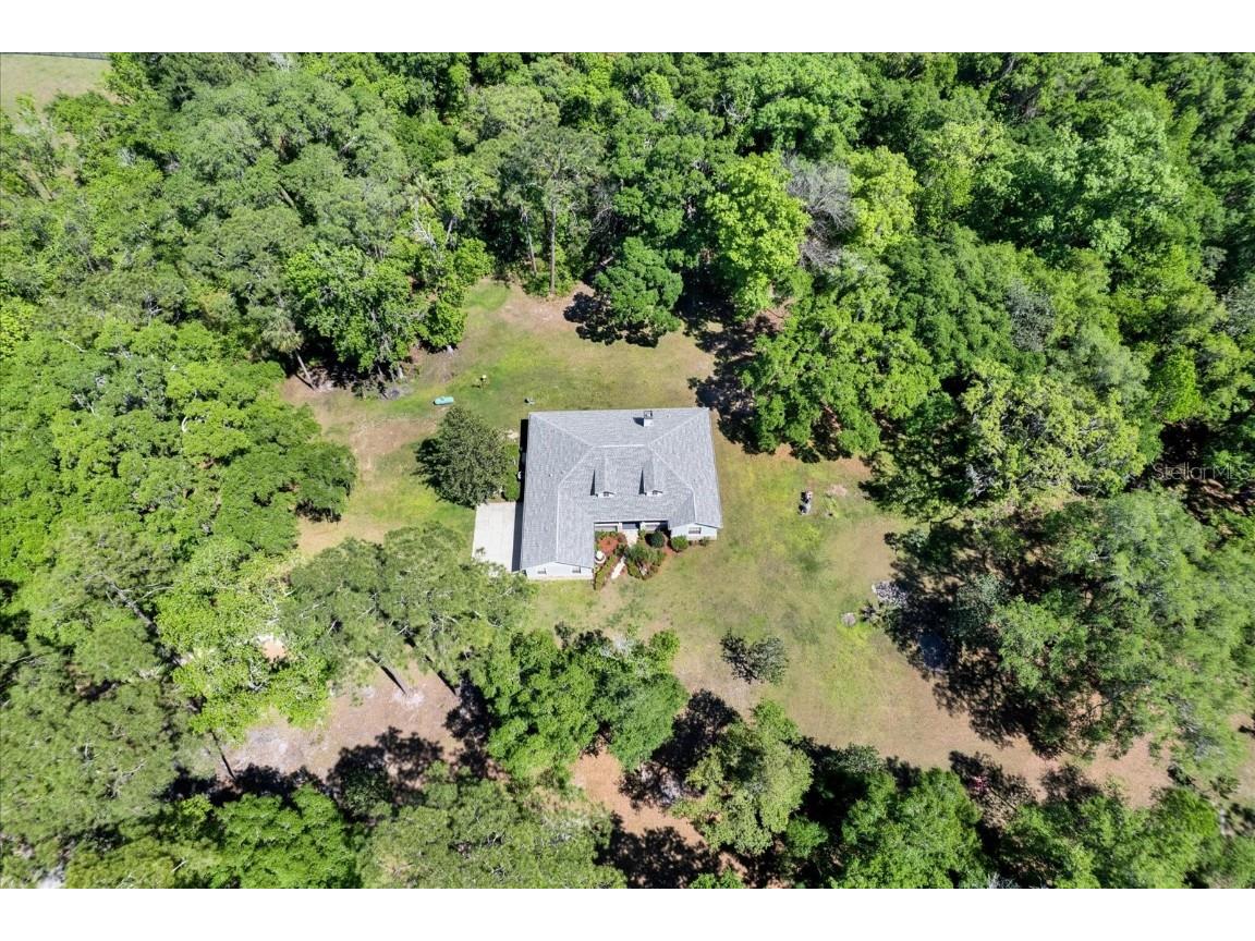 12708 Bellamy Brothers Boulevard Dade City FL 33525 - CYPRESS CREEK W7863280 image1