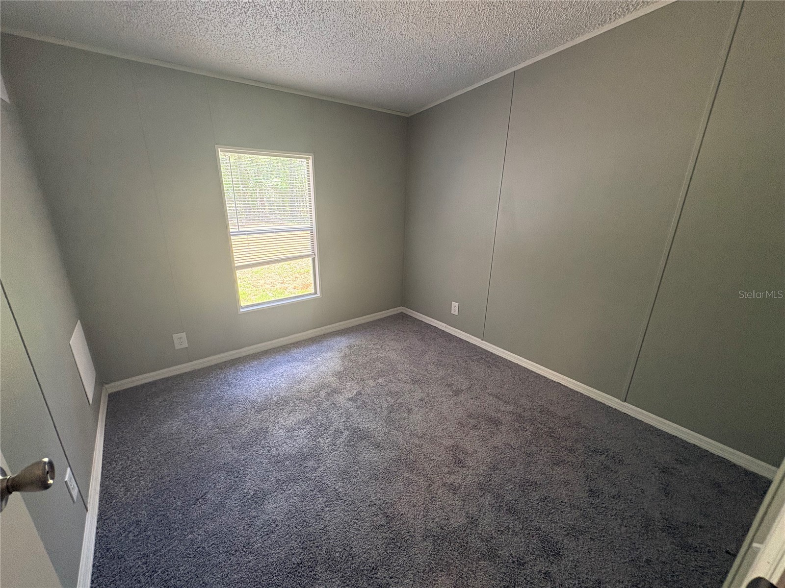 12708 Farmettes Road Lakeland FL 33809 B4902262 image11