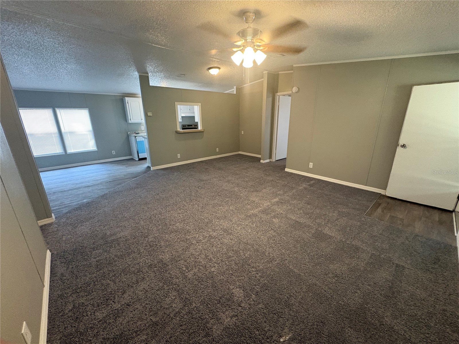12708 Farmettes Road Lakeland FL 33809 B4902262 image2