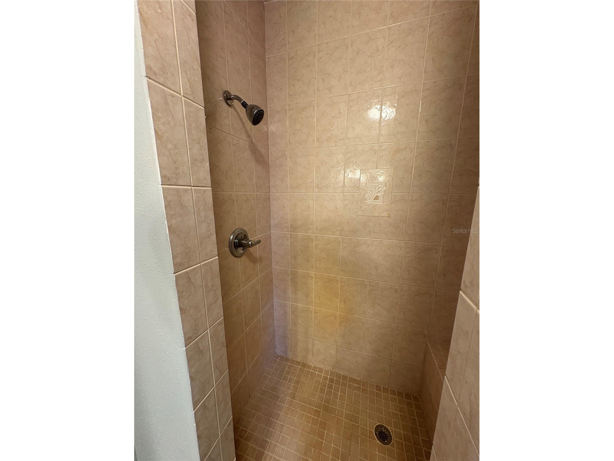 12708 Farmettes Road Lakeland FL 33809 B4902262 image22