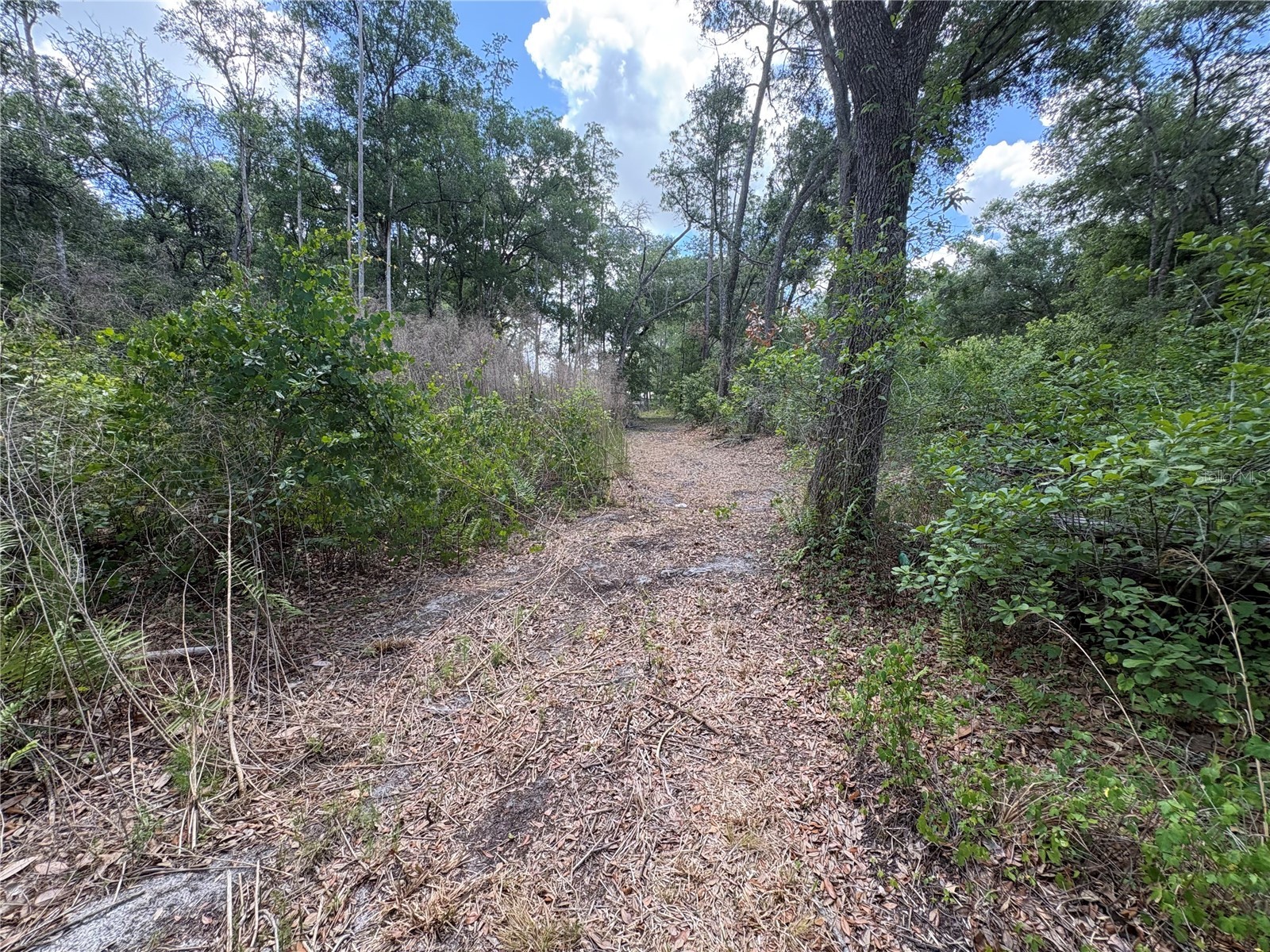 12708 Farmettes Road Lakeland FL 33809 B4902262 image27