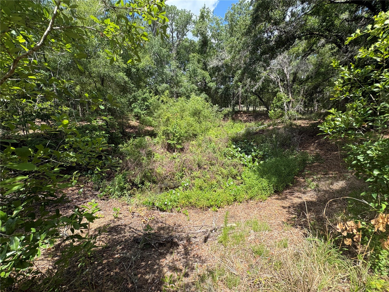 12708 Farmettes Road Lakeland FL 33809 B4902262 image6