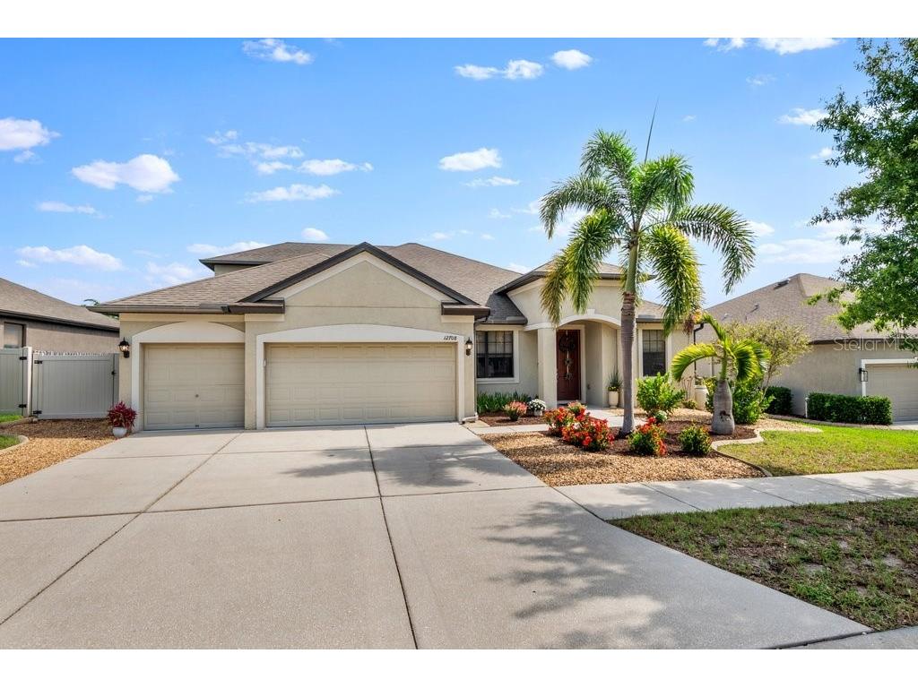12708 Trinity Springs Lane Riverview FL 33569 T3535293 image1